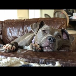 Meet your Posher, Erika